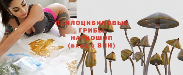 дживик Абаза