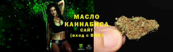 дживик Абаза