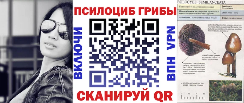 Галлюциногенные грибы Psilocybe где купить наркоту Азнакаево